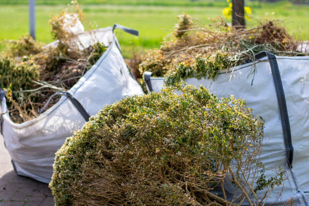 Best Appliance Removal Near Me  in Brogden, NC