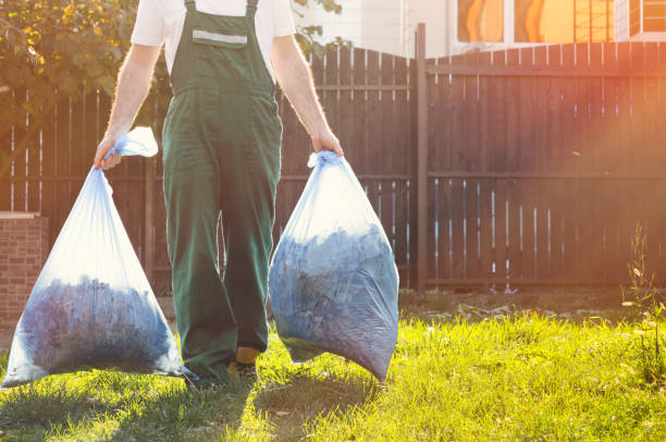 Debris Removal in Brogden, NC